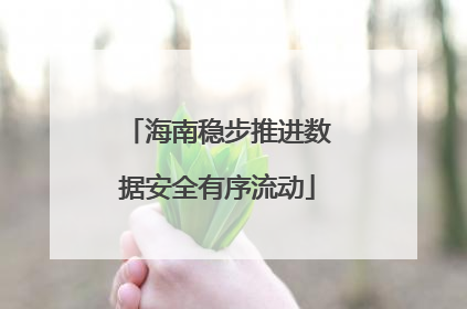 海南稳步推进数据安全有序流动