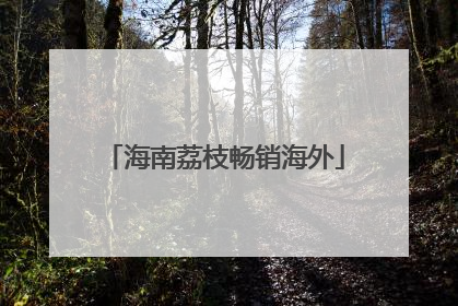 海南荔枝畅销海外