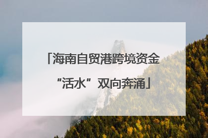 海南自贸港跨境资金“活水”双向奔涌