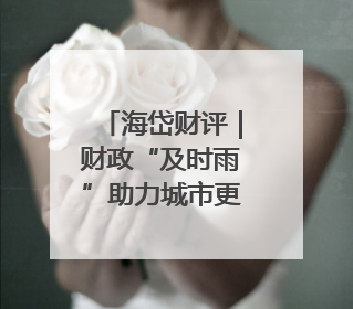 海岱财评｜财政“及时雨”助力城市更新迈向更“新”未来
