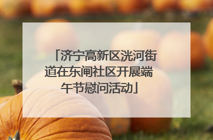 济宁高新区洸河街道在东闸社区开展端午节慰问活动