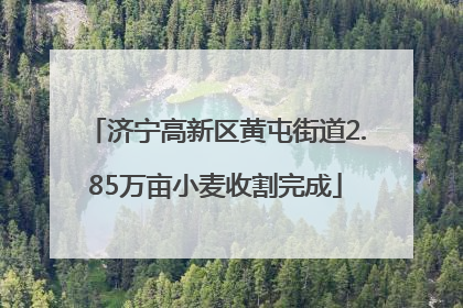 济宁高新区黄屯街道2.85万亩小麦收割完成