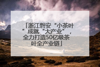 浙江磐安“小茶叶”成就“大产业”，全力打造50亿级茶叶全产业链