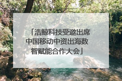 浩鲸科技受邀出席中国移动中资出海数智赋能合作大会