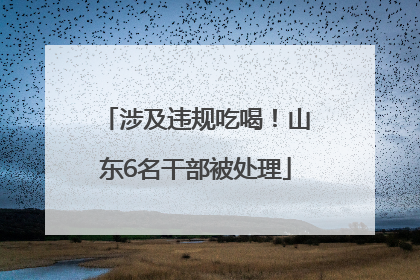 涉及违规吃喝！山东6名干部被处理