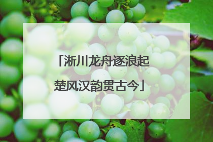 淅川龙舟逐浪起 楚风汉韵贯古今
