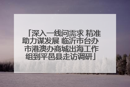 深入一线问需求 精准助力谋发展 临沂市台办 市港澳办商城出海工作组到平邑县走访调研