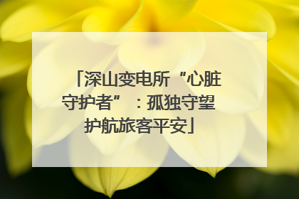 深山变电所“心脏守护者”：孤独守望护航旅客平安