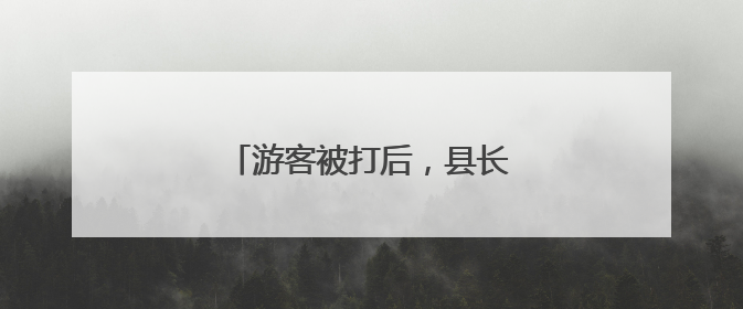 游客被打后，县长开会，全县整治！