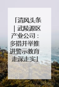 清风头条｜武陵源区产业公司：多措并举推进警示教育走深走实