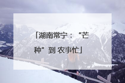 湖南常宁：“芒种”到 农事忙