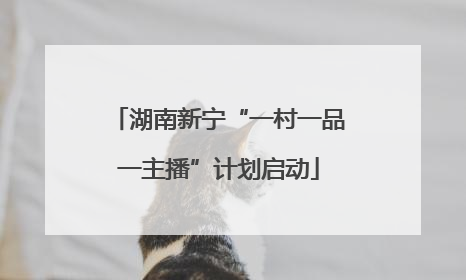 湖南新宁“一村一品一主播”计划启动