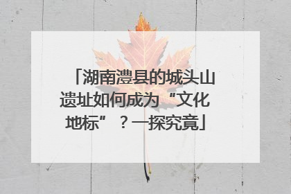 湖南澧县的城头山遗址如何成为“文化地标”？一探究竟