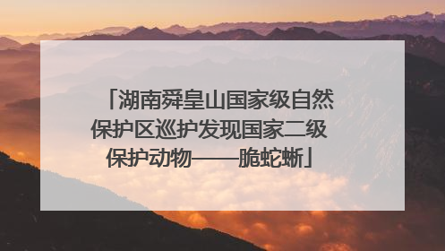 湖南舜皇山国家级自然保护区巡护发现国家二级保护动物——脆蛇蜥