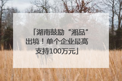 湖南鼓励“湘品”出境！单个企业最高支持100万元