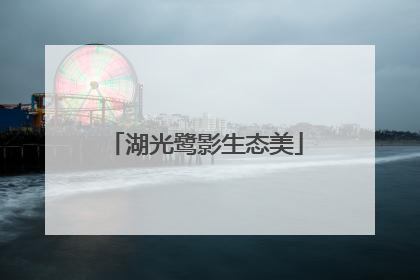 湖光鹭影生态美