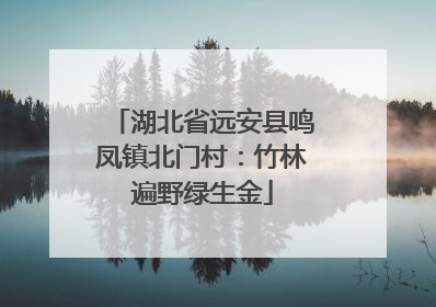 湖北省远安县鸣凤镇北门村：竹林遍野绿生金