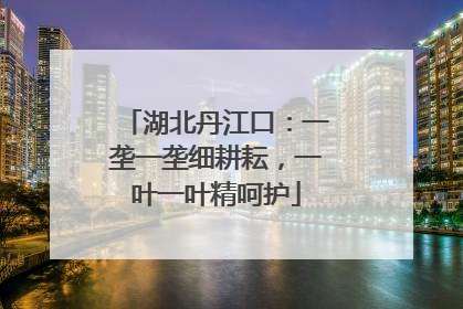 湖北丹江口：一垄一垄细耕耘，一叶一叶精呵护