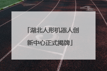 湖北人形机器人创新中心正式揭牌