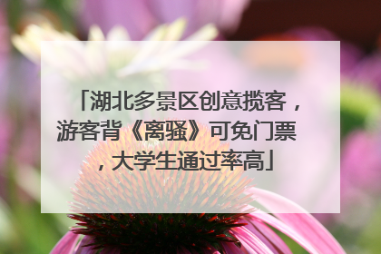 湖北多景区创意揽客，游客背《离骚》可免门票，大学生通过率高