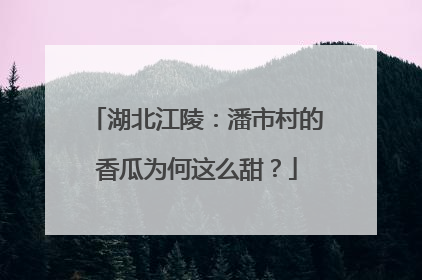 湖北江陵：潘市村的香瓜为何这么甜？