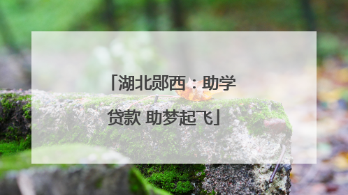 湖北郧西：助学贷款 助梦起飞