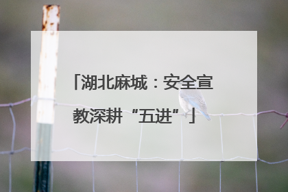 湖北麻城：安全宣教深耕“五进”