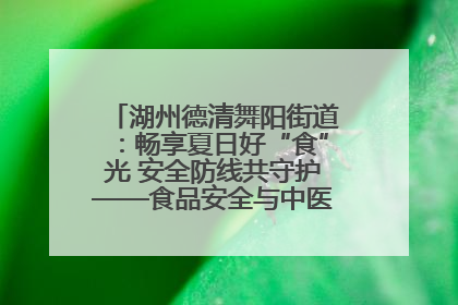 湖州德清舞阳街道：畅享夏日好“食”光 安全防线共守护——食品安全与中医养生知识宣传