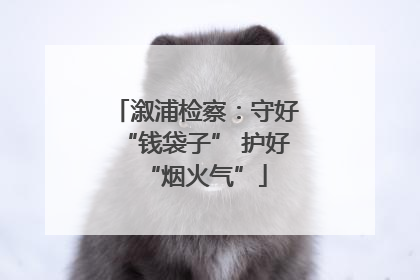 溆浦检察：守好“钱袋子” 护好“烟火气”