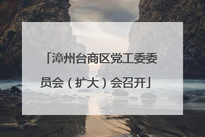 漳州台商区党工委委员会（扩大）会召开
