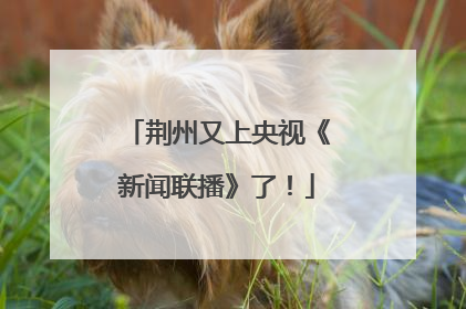 荆州又上央视《新闻联播》了！