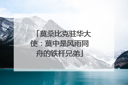 莫桑比克驻华大使：莫中是风雨同舟的铁杆兄弟
