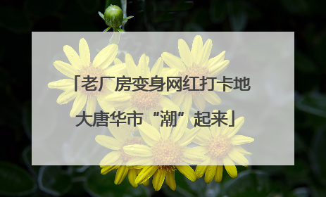 老厂房变身网红打卡地 大唐华市“潮”起来