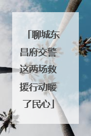 聊城东昌府交警这两场救援行动暖了民心