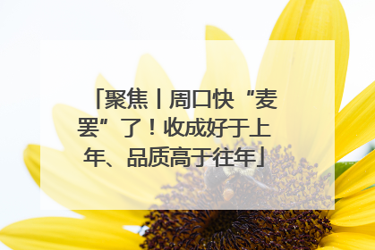 聚焦丨周口快“麦罢”了！收成好于上年、品质高于往年