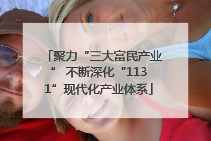 聚力“三大富民产业” 不断深化“1131”现代化产业体系
