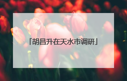 胡昌升在天水市调研