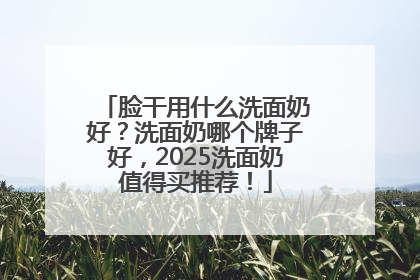 脸干用什么洗面奶好？洗面奶哪个牌子好，2025洗面奶值得买推荐！