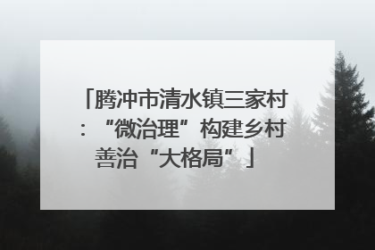 腾冲市清水镇三家村：“微治理”构建乡村善治“大格局”
