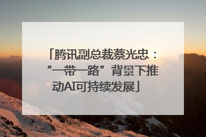 腾讯副总裁蔡光忠：“一带一路”背景下推动AI可持续发展