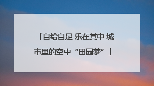 自给自足 乐在其中 城市里的空中“田园梦”