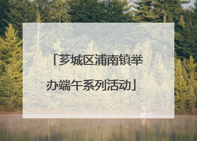芗城区浦南镇举办端午系列活动