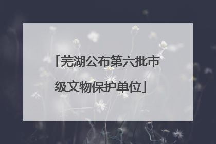 芜湖公布第六批市级文物保护单位