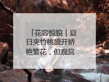 花容悦貌｜夏日夹竹桃盛开娇艳繁花，但观赏时“碰不得”