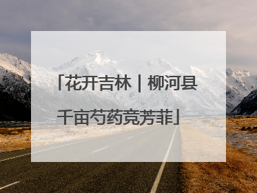 花开吉林｜柳河县千亩芍药竞芳菲
