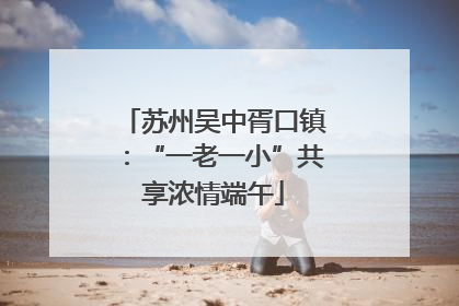 苏州吴中胥口镇：“一老一小”共享浓情端午