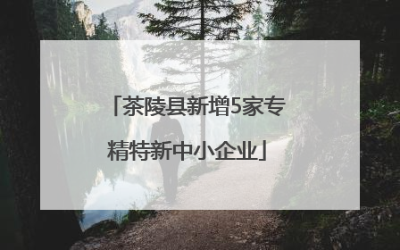 茶陵县新增5家专精特新中小企业