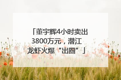 董宇辉4小时卖出3800万元，潜江龙虾火爆“出圈”