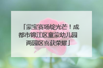 蒙宝赛场绽光芒！成都市锦江区童蒙幼儿园两园区喜获荣耀
