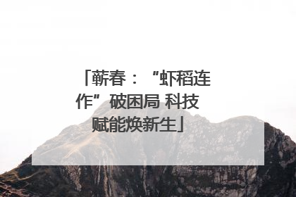 蕲春：“虾稻连作”破困局 科技赋能焕新生